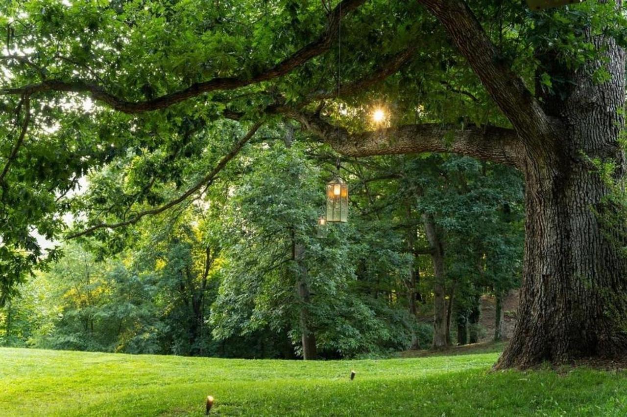 Log Cabin Stunning Mountain Views On 12 Acres Candler エクステリア 写真