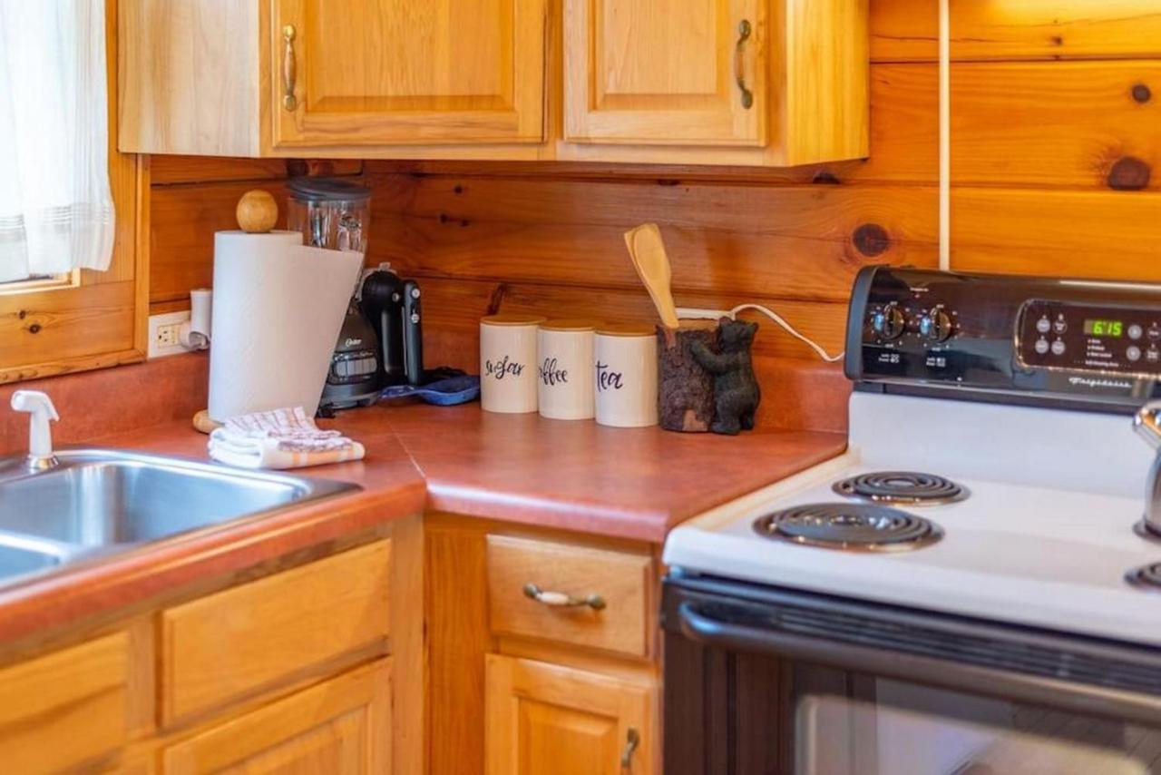 Log Cabin Stunning Mountain Views On 12 Acres Candler エクステリア 写真
